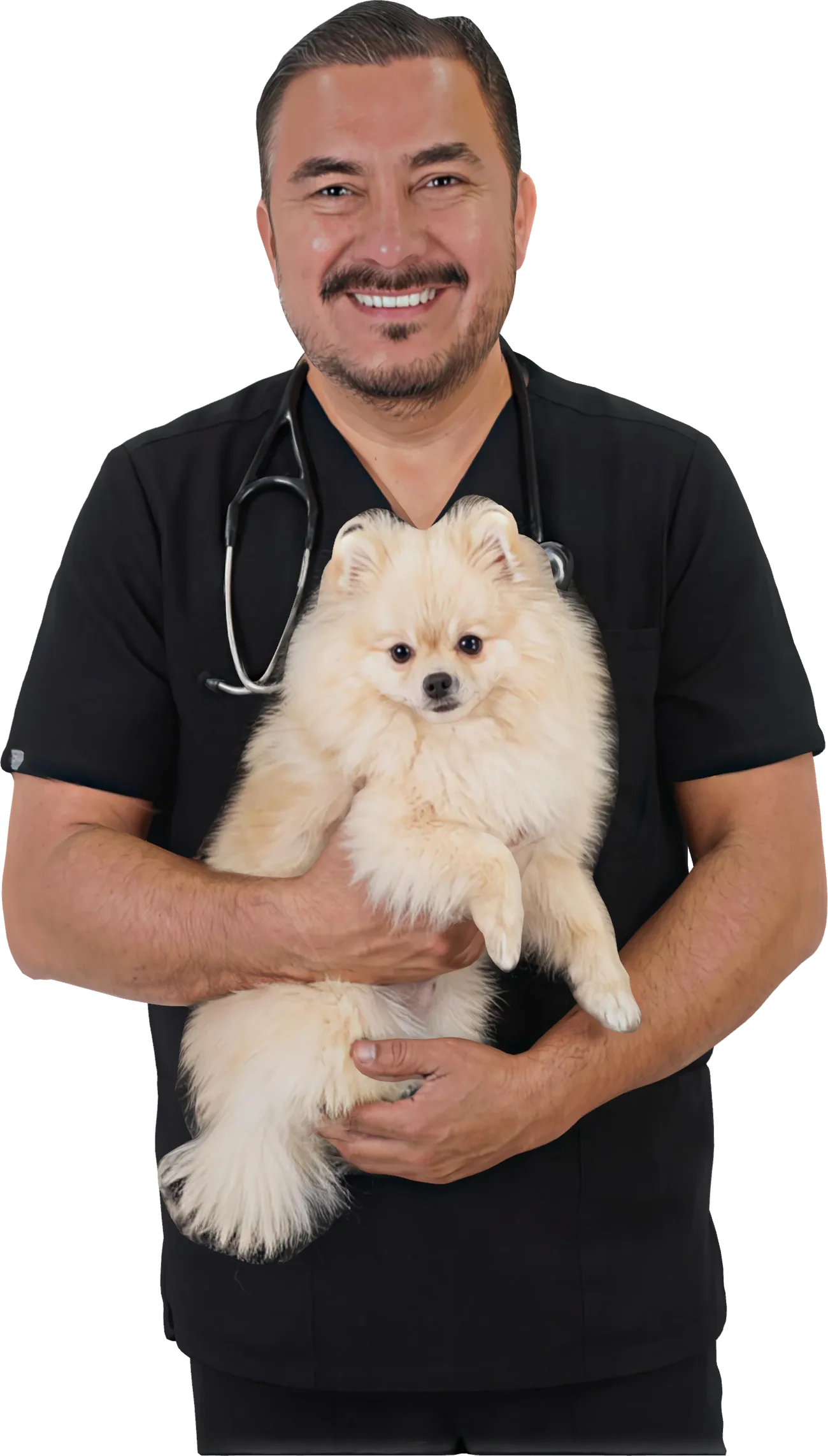 El médico veterinario de la clínica, con uniforme negro y estetoscopio, sonríe con un perro pomerania en brazos
